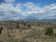 iara Scorciavacca-20110306 037